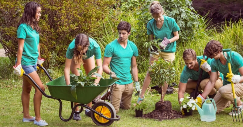 community-volunteer-partnership